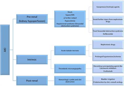 Continuous Renal Replacement Therapy: A Review of Use and Application in Pediatric Hematopoietic Stem Cell Transplant Recipients